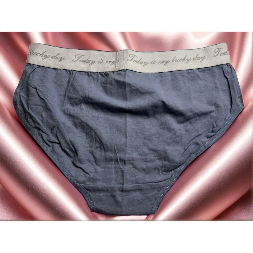 New Bikini Brief Today is Your Lucky Day Small Panties Underwear NWOT Blue Grey